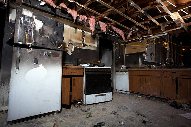 Licensed Fire Damage Assessment service in Gibraltar, MI - Meridian Smoke Damage
